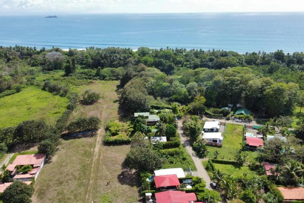Casa Toucan Mit Privat Pool Near Np Ballena Uvita Zewnętrze zdjęcie