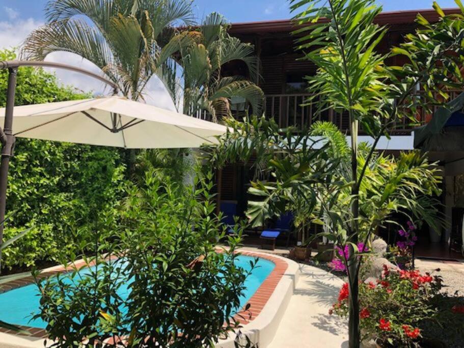 Casa Toucan Mit Privat Pool Near Np Ballena Uvita Zewnętrze zdjęcie