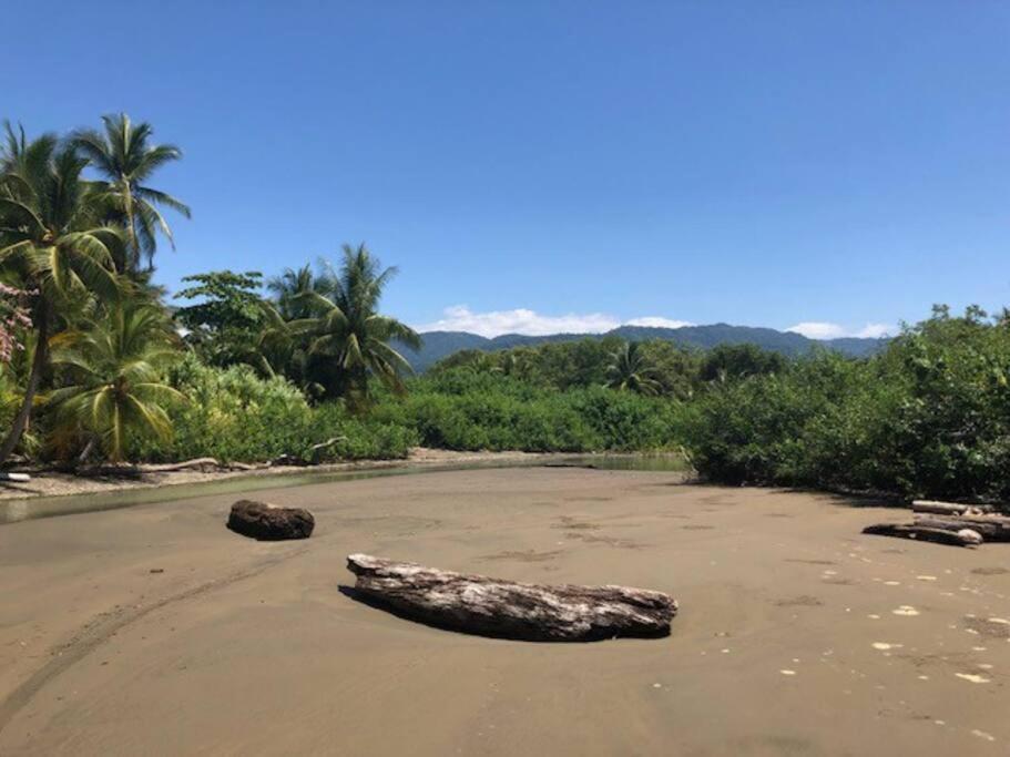 Casa Toucan Mit Privat Pool Near Np Ballena Uvita Zewnętrze zdjęcie