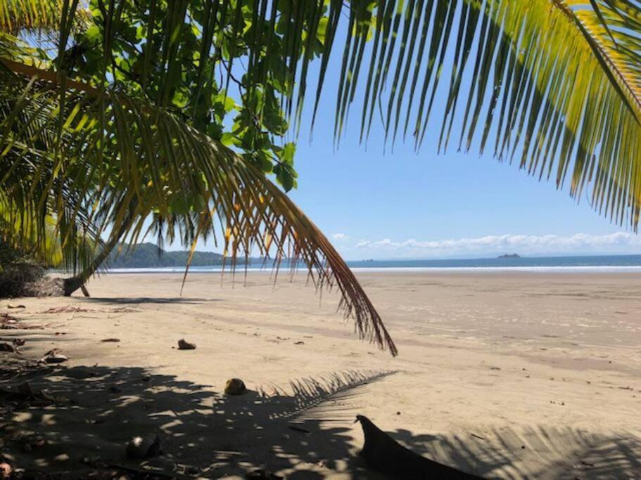 Casa Toucan Mit Privat Pool Near Np Ballena Uvita Zewnętrze zdjęcie