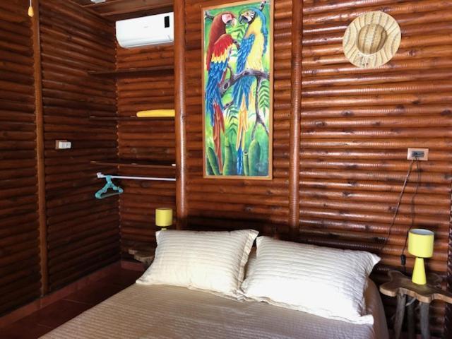 Casa Toucan Mit Privat Pool Near Np Ballena Uvita Zewnętrze zdjęcie