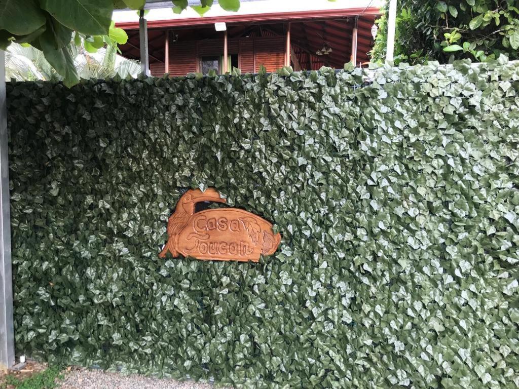 Casa Toucan Mit Privat Pool Near Np Ballena Uvita Zewnętrze zdjęcie