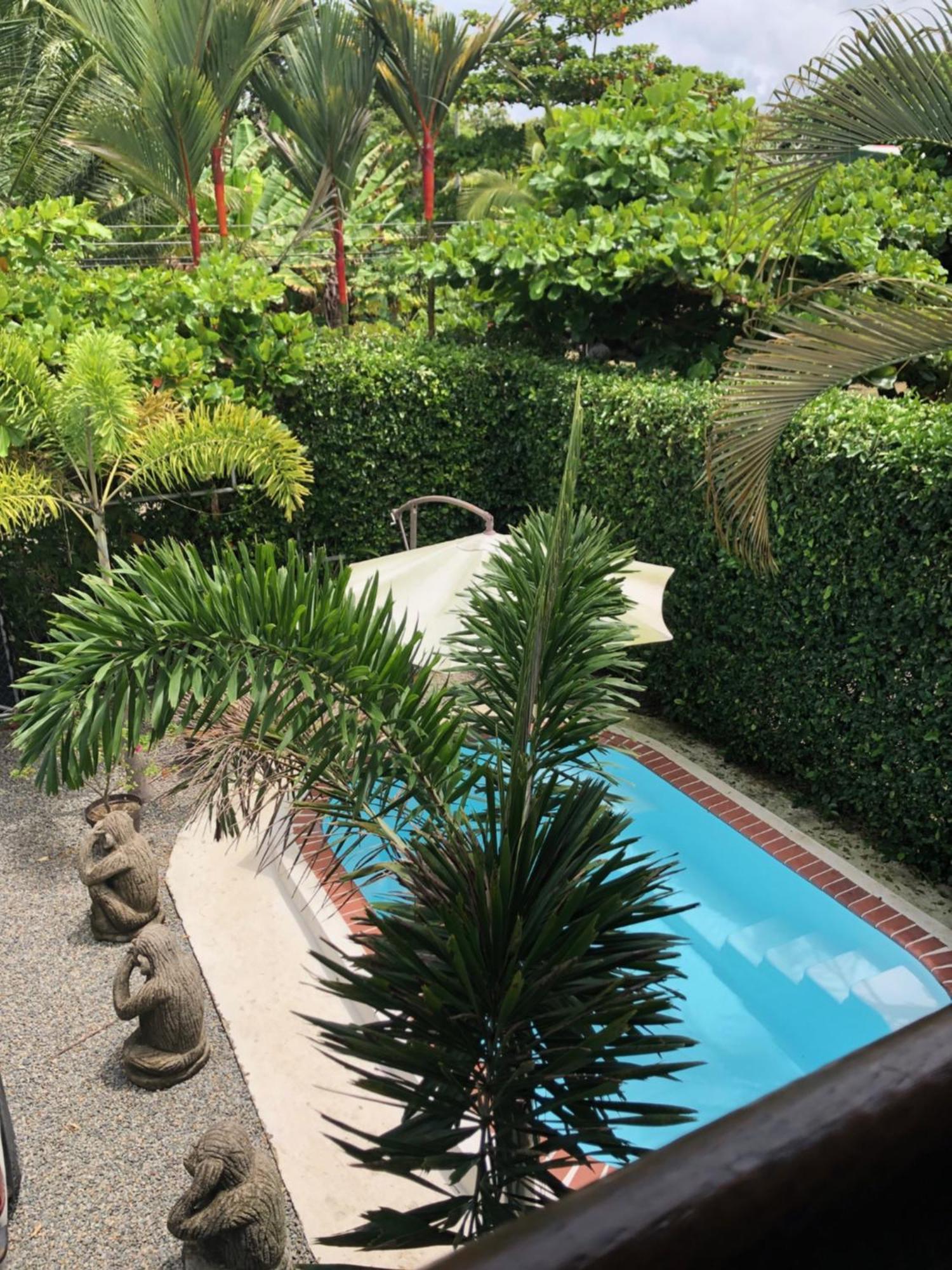 Casa Toucan Mit Privat Pool Near Np Ballena Uvita Zewnętrze zdjęcie