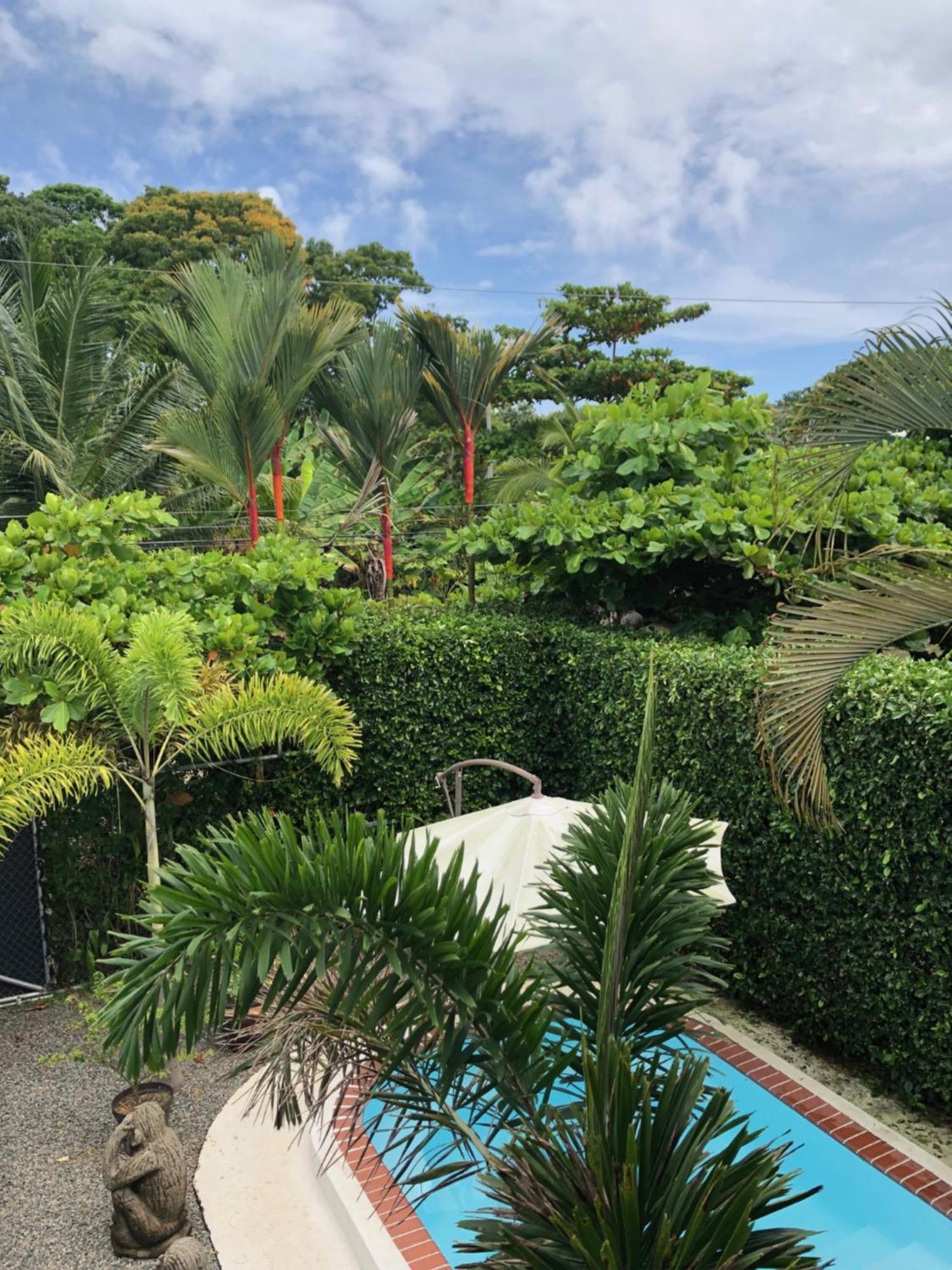 Casa Toucan Mit Privat Pool Near Np Ballena Uvita Zewnętrze zdjęcie