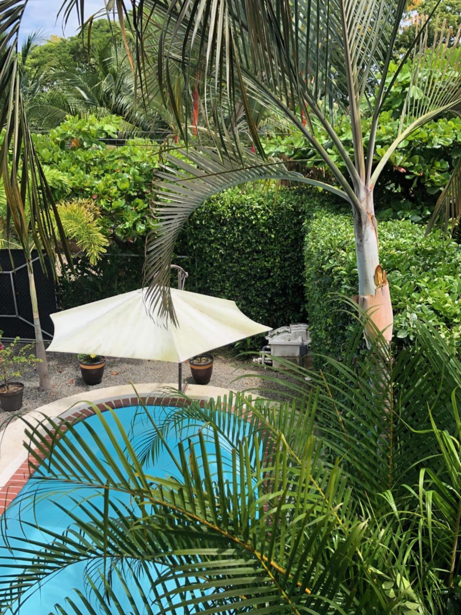 Casa Toucan Mit Privat Pool Near Np Ballena Uvita Zewnętrze zdjęcie